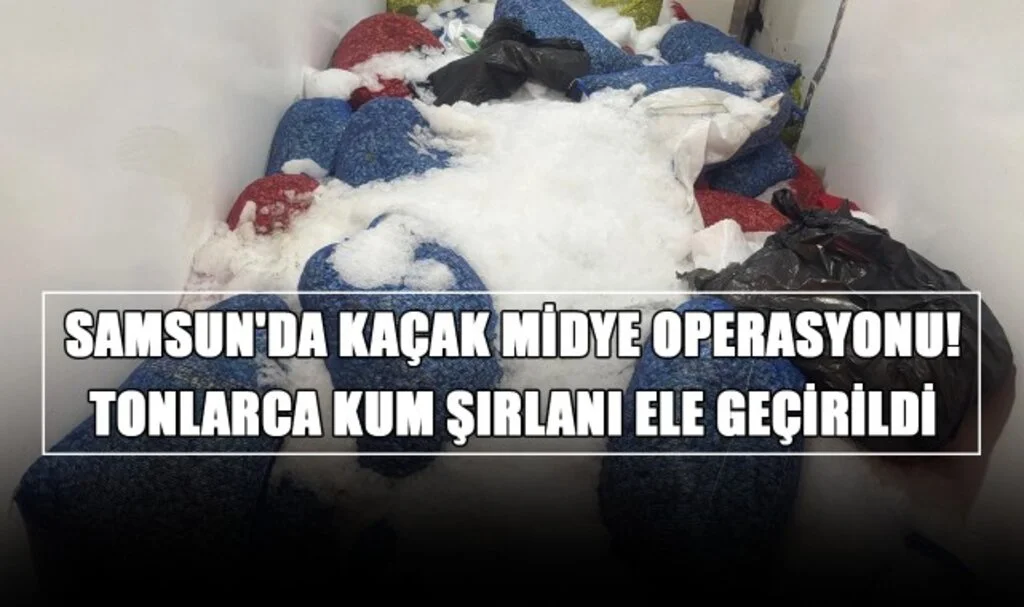 Samsun'da Kaçak Midye Operasyonu! Tonlarca Kum Şırlanı Ele Geçirildi