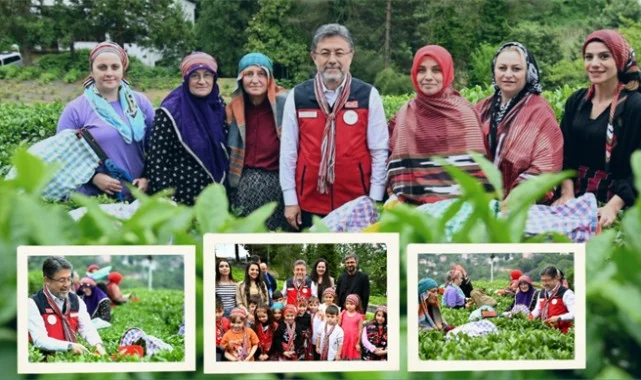 Tarım ve Orman Bakanı Yumaklı Rize'de Çay Hasadına Katıldı 