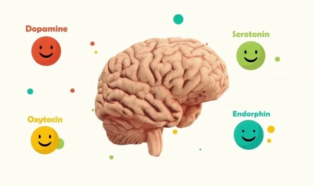Beyindeki Serotonin Nasıl Artırılır
