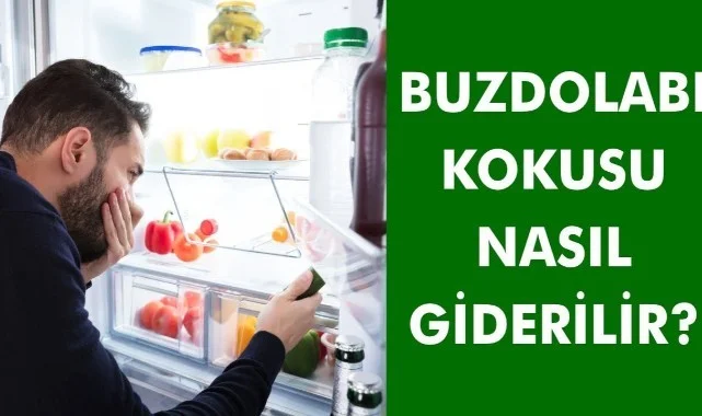 Buzdolabı Leş Kokusu Nasıl Giderilir
