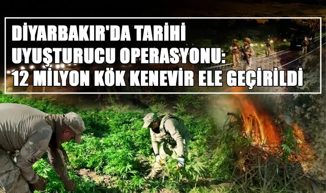 Diyarbakır'da Tarihi Uyuşturucu Operasyonu: 12 Milyon Kök Kenevir Ele Geçirildi