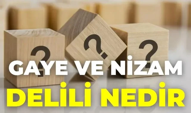 Gaye Ve Nizam Delili Nedir