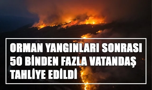 Orman Yangınları Sonrası 50 Binden Fazla Vatandaş Tahliye Edildi