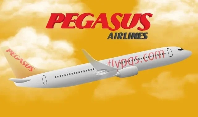 Pegasus İle Nasıl İletişime Geçilir?
