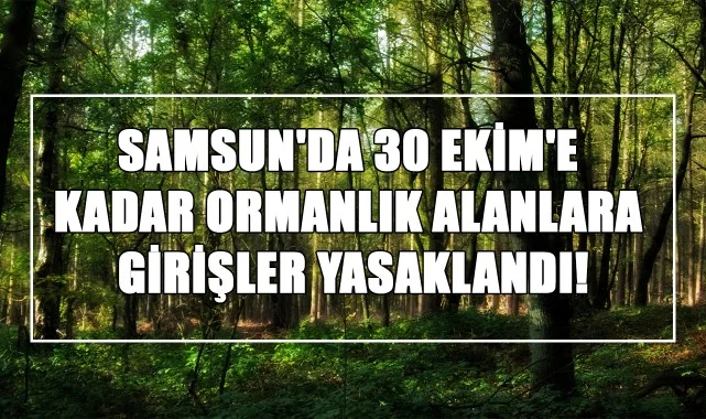 Samsun'da 30 Ekim'e Kadar Ormanlık Alanlara Girişler Yasaklandı!
