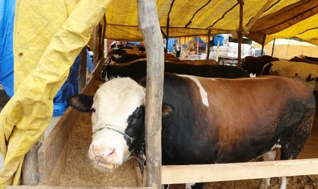 Samsun'da Kurban Kesim Yerleri Açıklandı!