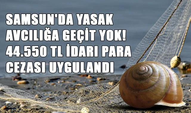 Samsun'da Yasak Avcılığa Geçit Yok! 44.550 TL İdari Para Cezası Uygulandı