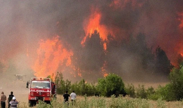Eskişehir Seyitgazi'de Orman Faciası! 10 Orman İşçisi Şehit Oldu