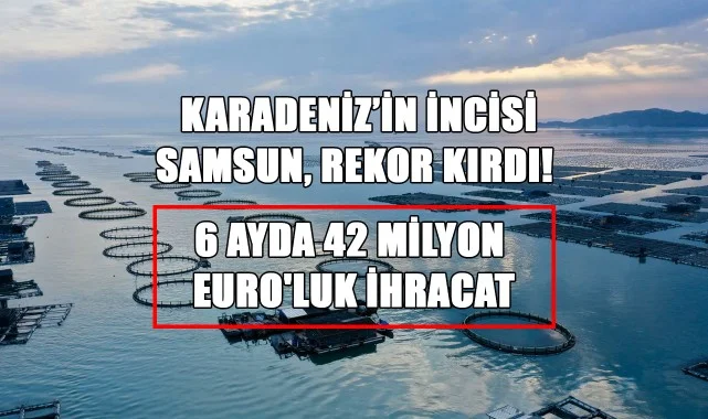 Karadeniz’in İncisi Samsun, Rekor Kırdı! 6 Ayda 42 Milyon Euro'luk İhracat