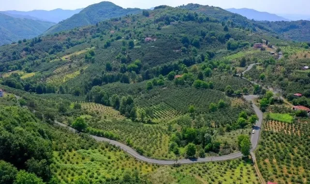 Ordu’dan Samsun’a Ulaşımı Kolaylaştıracak Yol Projesinde Sona Gelindi