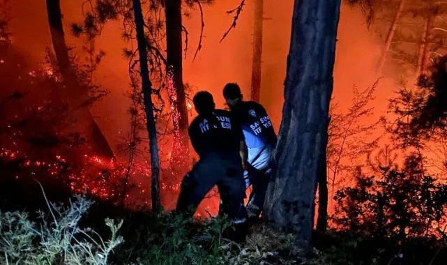 Samsun Büyükşehir, Karabük'teki Yangınla Mücadelede Sahada!