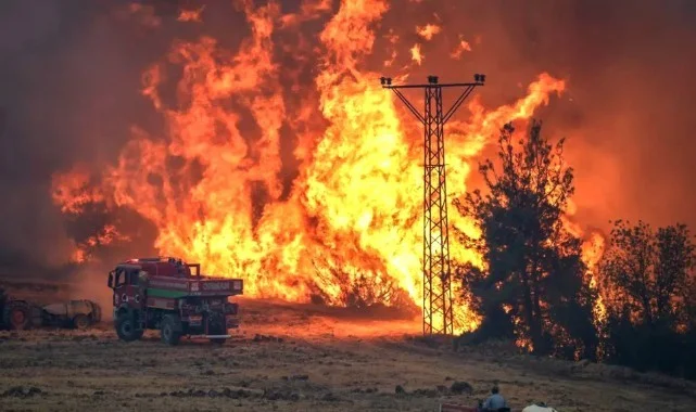 Son 15 Günde Orman Yangınlarıyla İlgili 17 Kişi Tutuklandı
