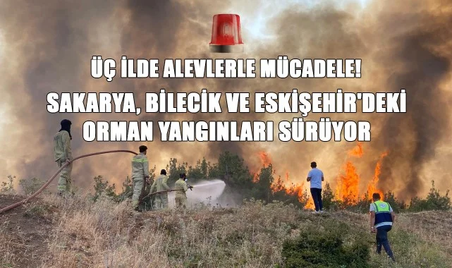 Üç İlde Alevlerle Mücadele! Sakarya, Bilecik ve Eskişehir'deki Orman Yangınları Sürüyor