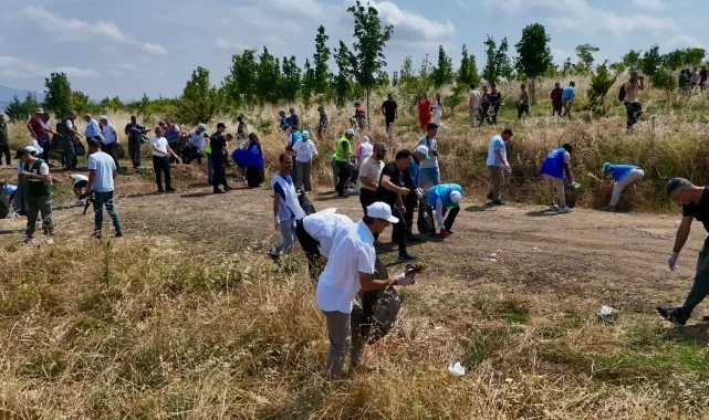 Yeşil Vatan İçin El Ele! Samsun'da Ormanlık Alanlarda Temizlik Seferberliği