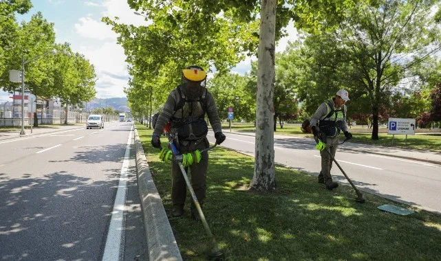 Ekipler Sahada! Samsun İçin Temizlik Seferberliği Başladı