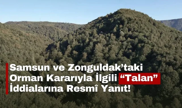 Samsun ve Zonguldak’taki Orman Kararıyla İlgili “Talan” İddialarına Resmî Yanıt!