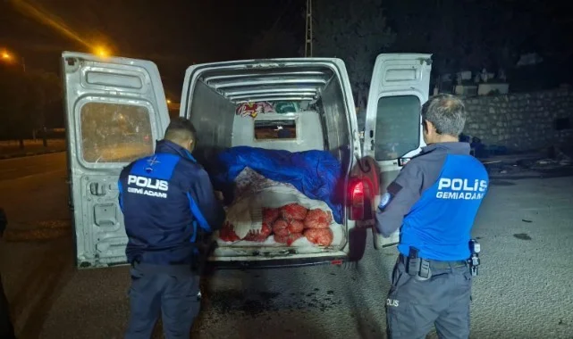 Samsun'da Dev Operasyon! Tonlarca Midye Ele Geçirildi