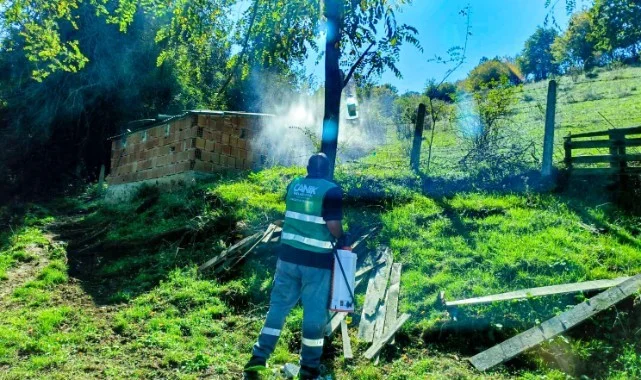 Canik Belediyesi'nden Kokarca Böceğiyle Etkin Mücadele