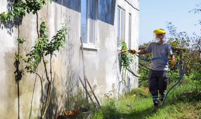 Samsun'da Büyükşehir’den Kahverengi Kokarcaya Karşı Kışlak Mücadelesi