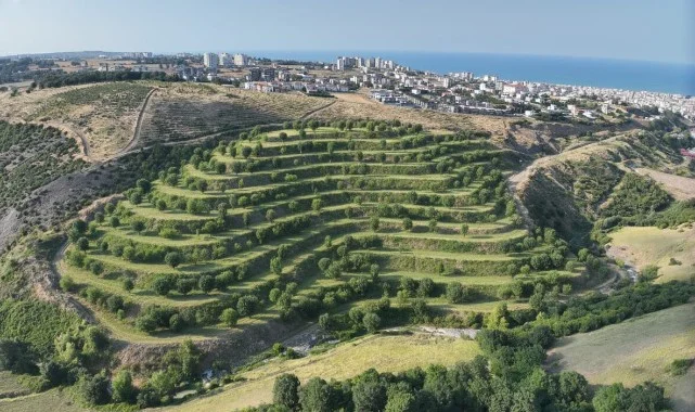 Samsun'da Harifiyatta Dijital Dönüşüm Adım Adım Gerçekleştiriliyor 