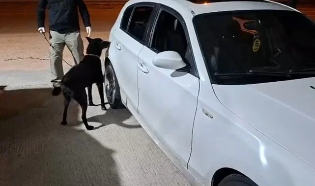 Samsun'da Narkotik Köpeği ÇAKIR, Yakıt Deposuna Gizlenen 302 Gram Metamfetamini Buldu