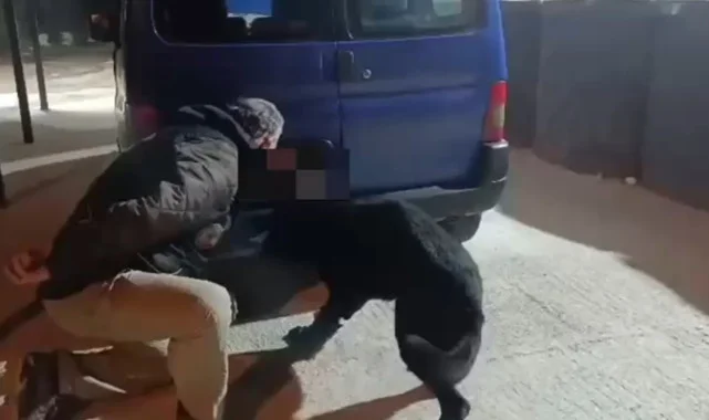 Samsun'da Stepneden Uyuşturucu Çıktı! Narkotik Köpeği TONY, Gizli Bölmeyi Ortaya Çıkardı 