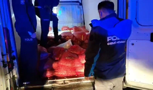 Samsun'da Su Ürünleri Denetimi! Kamyonette Kaçak Midye Taşırken Yakalandılar