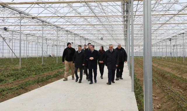 Bafra Sera Organize Tarım Bölgesi’nde Üretim İncelemeleri