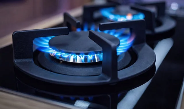 Türkiye’nin Doğal Gaz Şebeke Uzunluğu 255 Bin Kilometreye Ulaştı