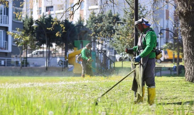 Canik'te Parklar Yaza Hazırlanıyor