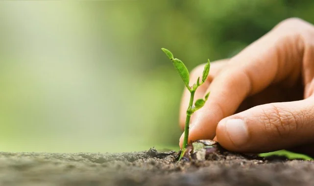 COP31 Kapsamında “Çevre ve İklim Medya Turları”nın İkincisi Başlıyor