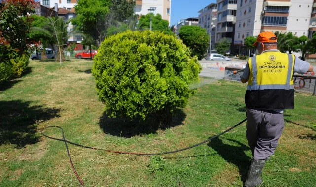 Samsun Büyükşehir Belediyesi'nden Yaz Dönemi Vektörle Mücadele Seferberliği