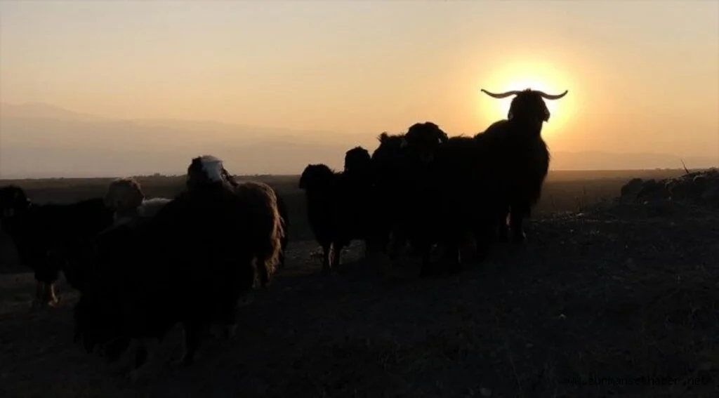Ağrı Dağı son yaylacıları uğurladı