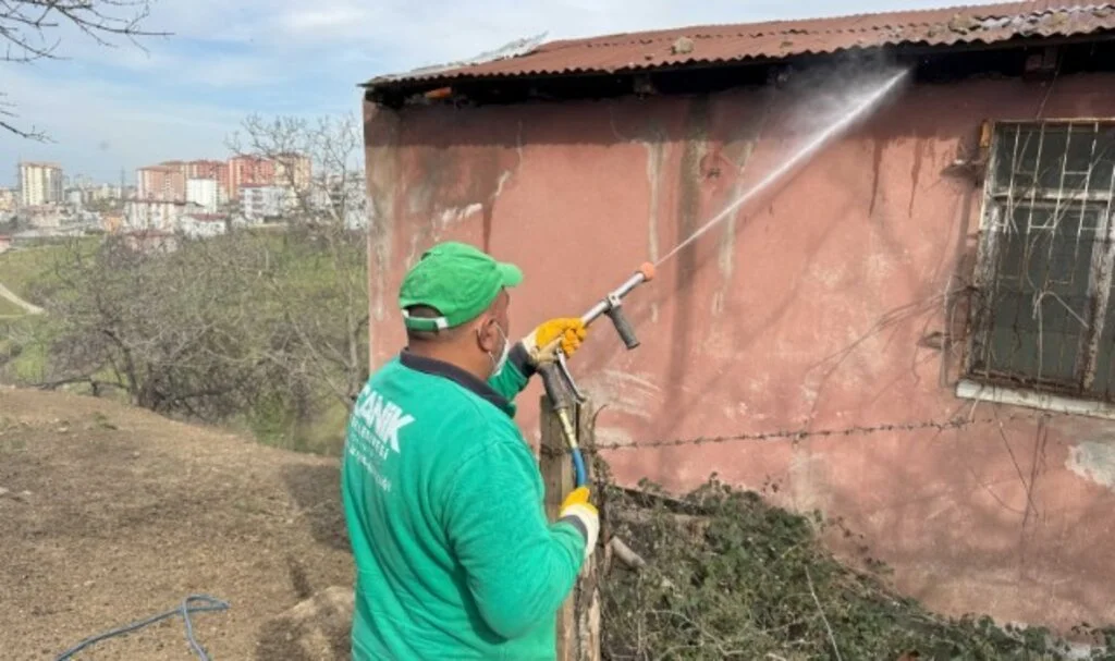 Canik Belediyesi'nden Kokarca Böceğine Karşı İlaçlama Çalışmaları