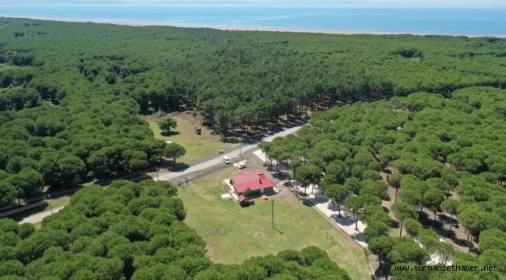 ÇARŞAMBA ORMAN PARK’ MİSAFİRLERİNİ BEKLİYOR