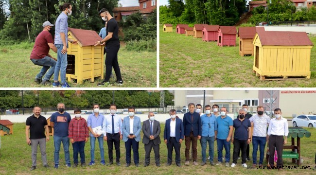 ÇARŞAMBALI GENÇLERDEN ÖRNEK PROJE