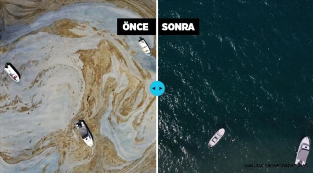 Marmara Denizi'nin güney kıyılarında müsilaj yok denilecek kadar azaldı
