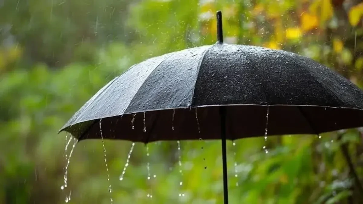 Meteoroloji Uyardı: Kuvvetli Yağış ve Fırtına Geliyor