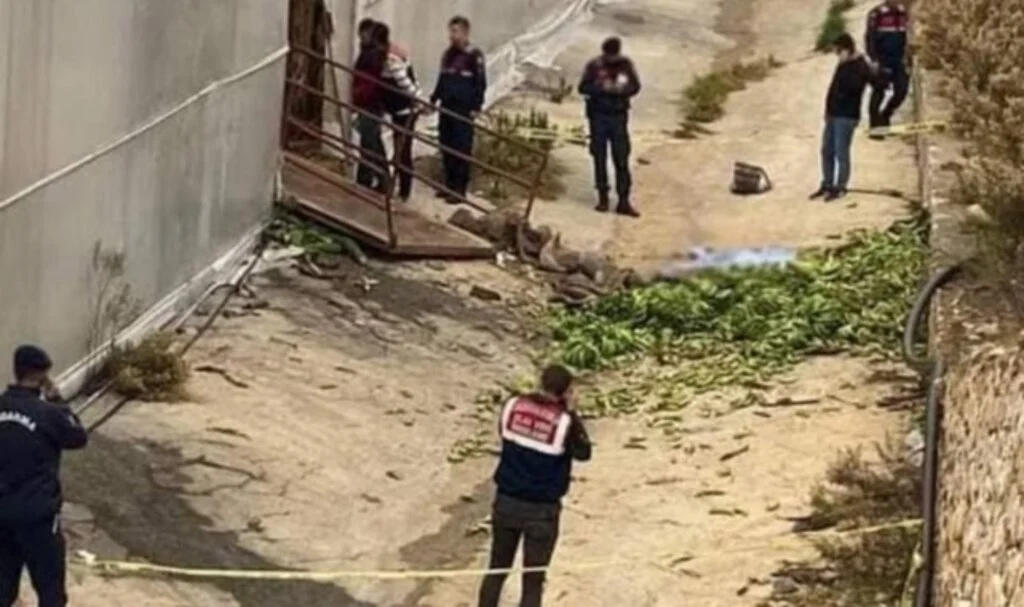 Muz Serasında Halat Koptu: 2 ölü, 2 yaralı