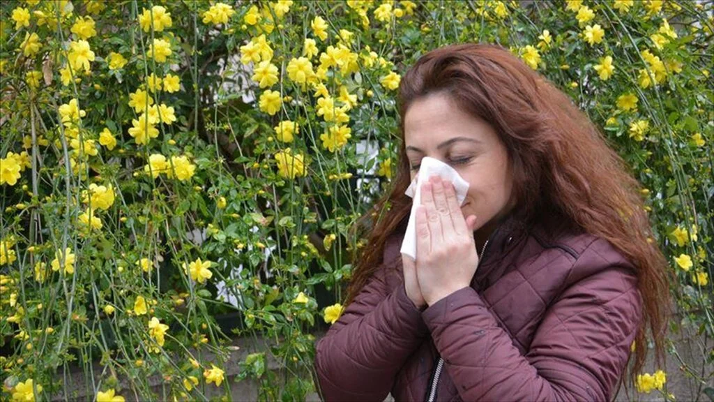 'Polenler dikkat dağınıklığı, uyku hali ve sersemlik de verir'