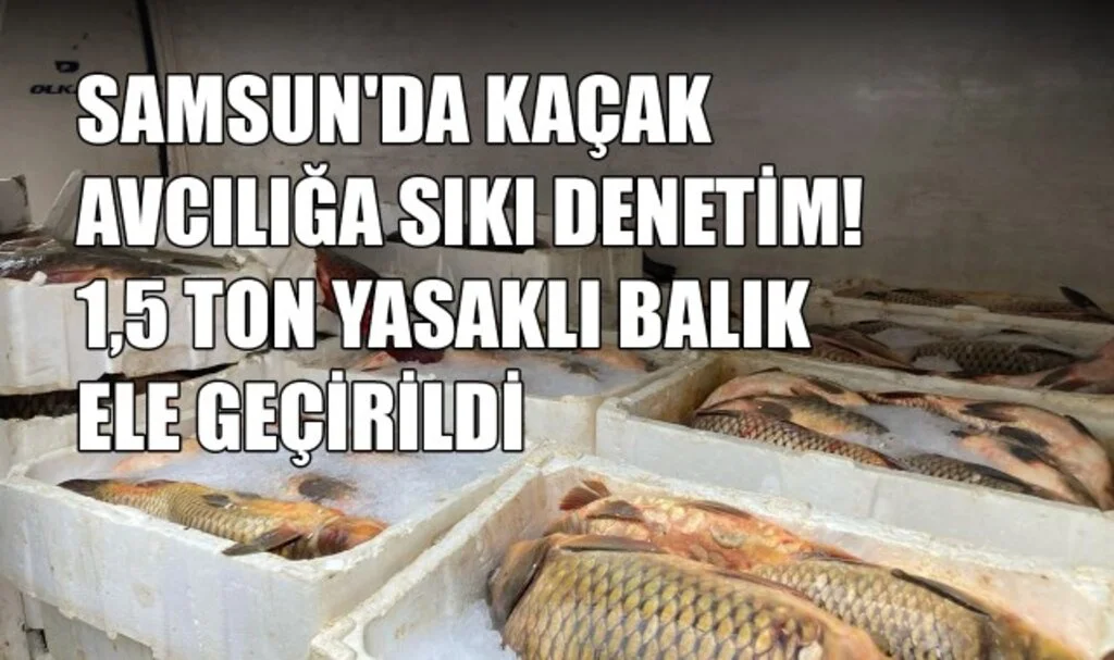 Samsun'da Kaçak Avcılığa Sıkı Denetim! 1,5 Ton Yasaklı Balık Ele Geçirildi