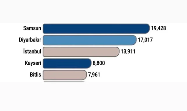 Samsun, Manda Yetiştiriciliğinde Yükselişini Sürdürüyor