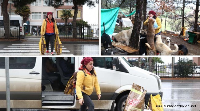 Sokak hayvanlarını beslemek için 6 araç değiştirip 120 kilometre yol katediyor